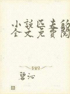 小说匹夫的逆袭全文免费阅读免费