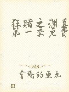 狂赌之渊真人版第一季免费观看