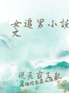 女追男小说甜宠文