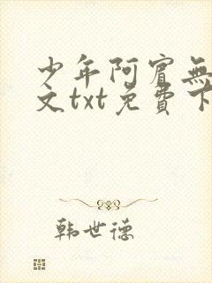 少年阿宾无删全文txt免费下载