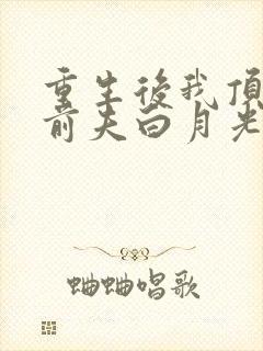 重生后我顶替了前夫白月光l