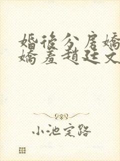 婚后分房娇夫别娇羞赵廷文无删减完整版