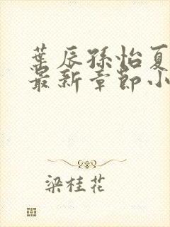 叶辰孙怡夏若雪最新章节小说