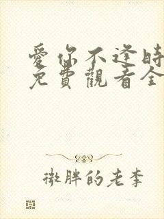 爱你不逢时短剧免费观看全集高清