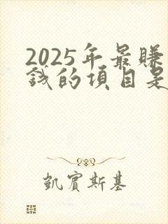 2025年最赚钱的项目是什么