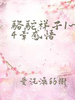 骆驼祥子1~24章感悟