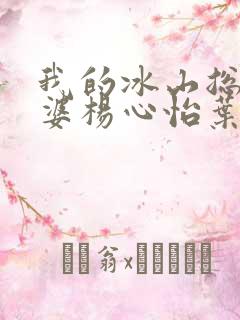 我的冰山总裁老婆杨心怡叶雄