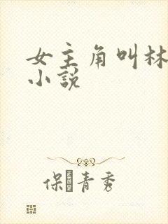 女主角叫林柚的小说