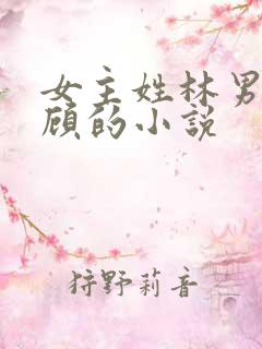 女主姓林男主姓顾的小说