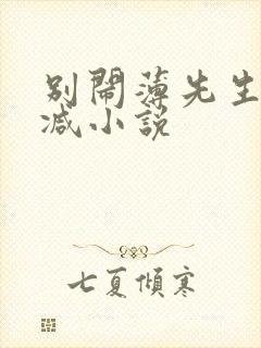 别闹薄先生无删减小说