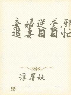 弃妇逆袭,邪王追妻日日忙