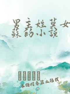 男主姓莫女主姓苏的小说