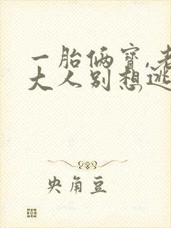 一胎俩宝,老婆大人别想逃原著