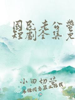 国民老公带回家短剧全集免费播放