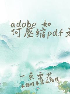 adobe 如何压缩pdf文件大小