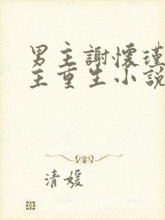 男主谢怀瑾的女主重生小说