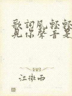 歌词风轻轻我听见你声音是什么歌