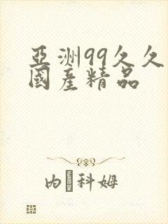 亚洲99久久久国产精品