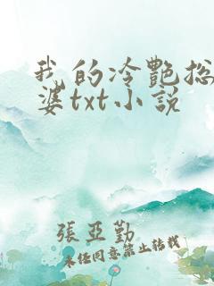 我的冷艳总裁老婆txt小说