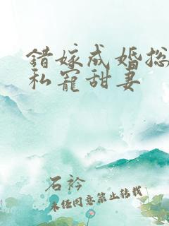 错嫁成婚总裁的私宠甜妻