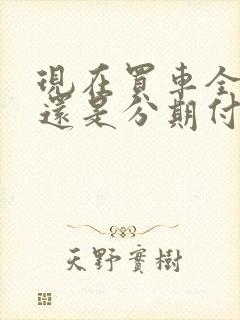 现在买车全款好还是分期付款好