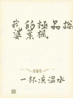 我的极品总裁老婆叶枫