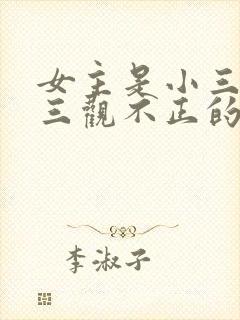 女主是小三上位三观不正的小说