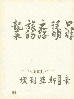 龙族之从只狼归来的路明非