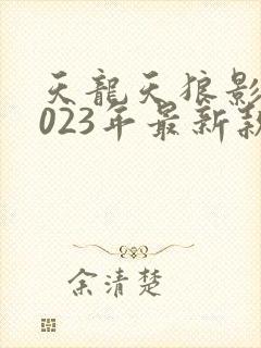 天龙天狼影视2023年最新款的电视剧