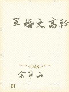 军婚文高干文
