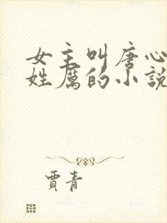 女主叫唐心男主姓厉的小说