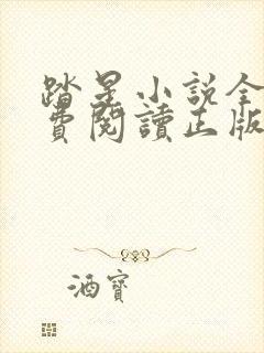 踏星小说全文免费阅读正版