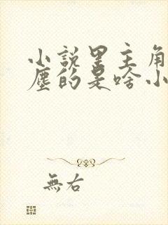 小说里主角叫叶尘的是啥小说