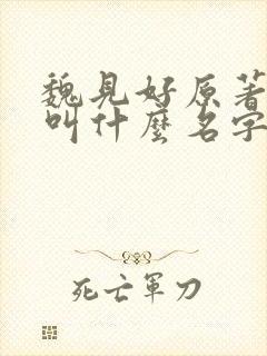 魏见好原著小说叫什么名字