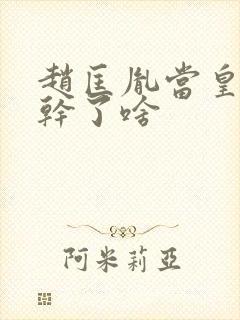 赵匡胤当皇帝后干了啥