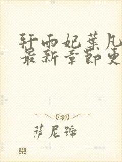 轩雨妃叶凡小说最新章节更新