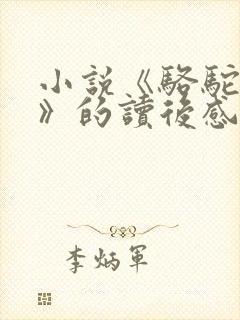 小说《骆驼祥子》的读后感