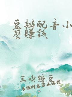 豆瓣配音小组怎么赚钱