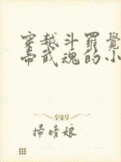 穿越斗罗觉醒雷帝武魂的小说