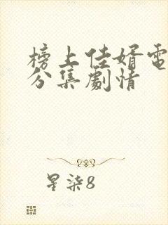 榜上佳婿电视剧分集剧情