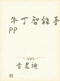 牛丁智能手表app