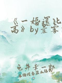 《一婚还比一婚高》by晨雾的光