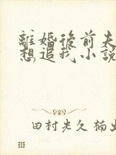 离婚后前夫总是想追我小说下载