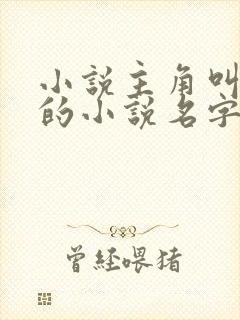 小说主角叫陈风的小说名字