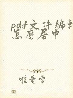 pdf文件编辑怎么居中