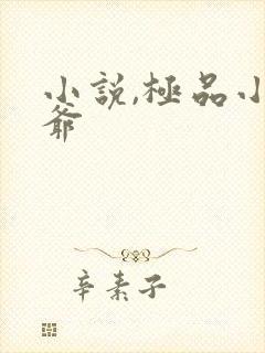 小说,极品小侯爷