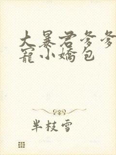 大暴君爹爹的团宠小娇包