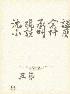 沈砚承余诺萧恒小说叫什么名字啊