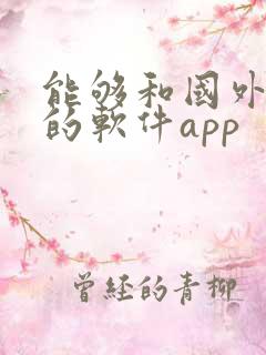 能够和国外聊天的软件app