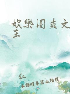 娱乐圈爽文双男主